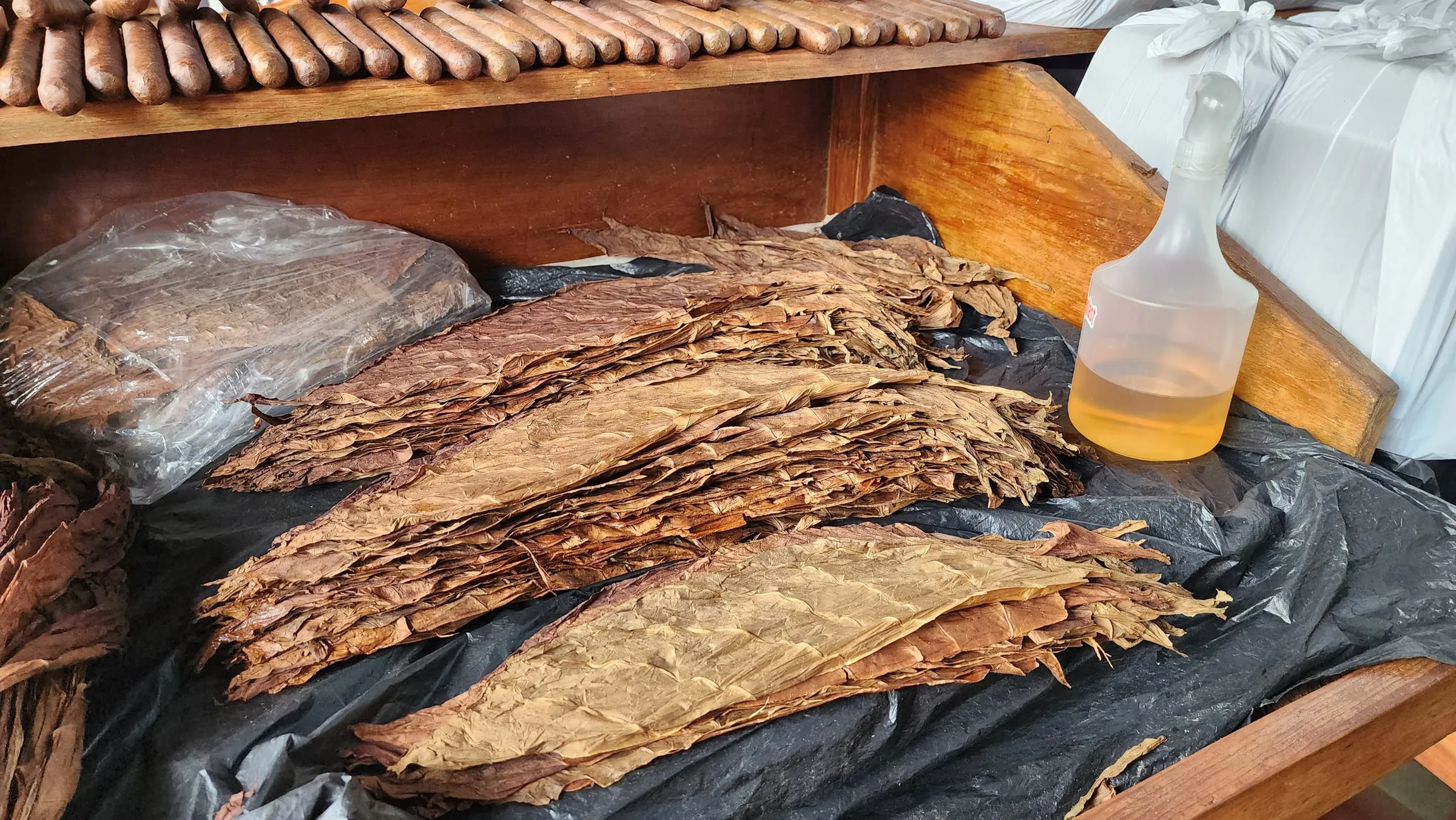 Dried tobacco leaves laid out on a workbench at Doña Elba Cigars in Granada, Nicaragua, with freshly rolled cigars behind